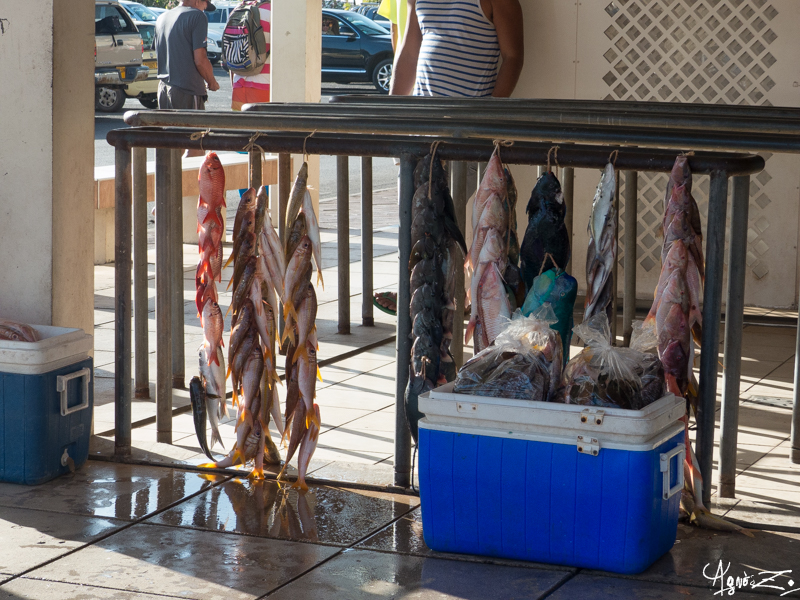 la pêche du jour au marché